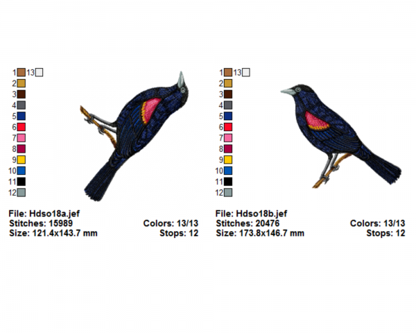 Bird Embroidery Design - Machine Embroidery Pattern - 2 Sizes - Instant Download Machine Embroidery Designs
