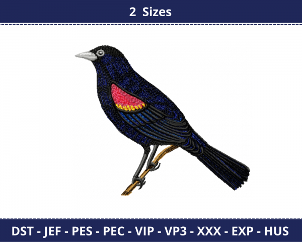 Bird Embroidery Design - Machine Embroidery Pattern - 2 Sizes - Instant Download Machine Embroidery Designs