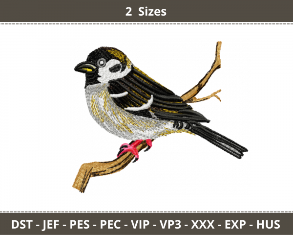 Bird Embroidery Design - Machine Embroidery Pattern - 2 Sizes - Instant Download Machine Embroidery Designs